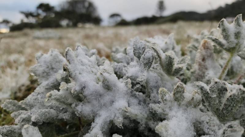 Após nove anos, volta a nevar na serra no período da primavera — foto 21