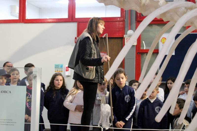 Museu de Zoologia da Unesc celebra 20 anos com programação especial — foto 9