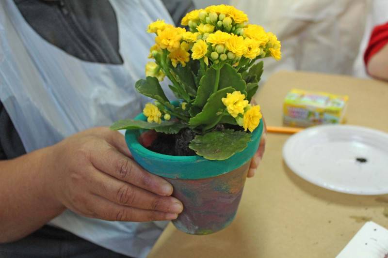 Cores, flores e sorrisos: Rio Deserto realiza ação com alunos da Apae Criciúma — foto 1