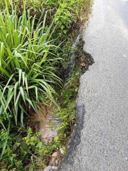 Urussanga teve deslizamentos de terra, alagamento e inundação de ruas e queda de árvore — foto 1