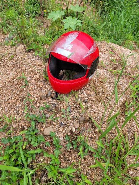 Bombeiros encontram capacete de motociclista que caiu em rio — foto 2