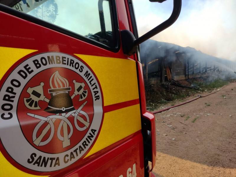 Aproximadamente 25 mil aves morrem em incêndio em aviário — foto 1