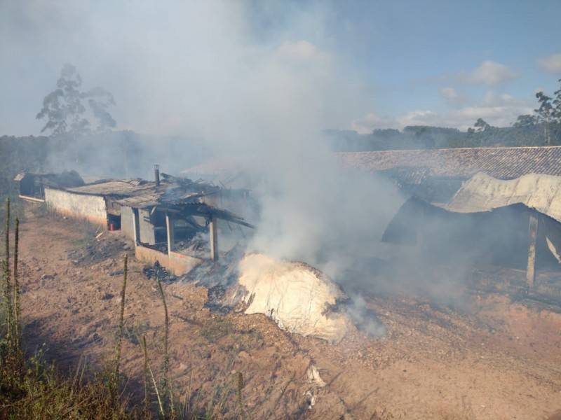 Aproximadamente 25 mil aves morrem em incêndio em aviário — foto 2