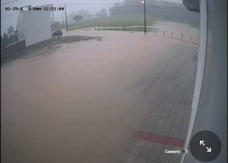 Mais de 200 milímetros de chuva, alagamentos e enxurradas em Turvo — foto 1