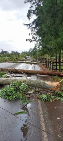 Chuva no Sul de SC: vendaval deixa estragos em Santa Rosa do Sul — foto 1