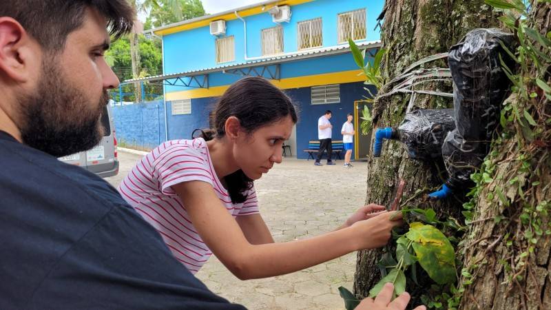Iniciativa da Apae Cocal do Sul utiliza criação de abelhas sem ferrão como meio terapêutico — foto 2