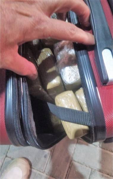 Adolescente é apreendida com quase 20 kg de maconha na BR-101 em Tubarão — foto 1