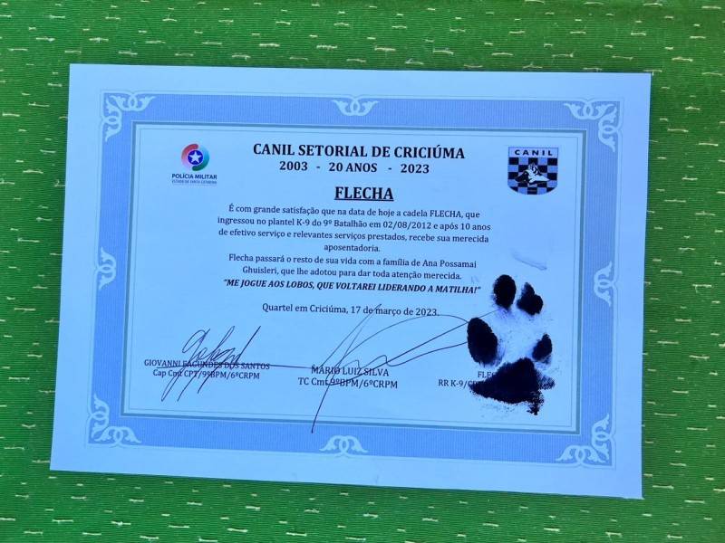 Aposento da cadela Flecha marca 20 anos do Canil do 9º Batalhão de PM de Criciúma — foto 2