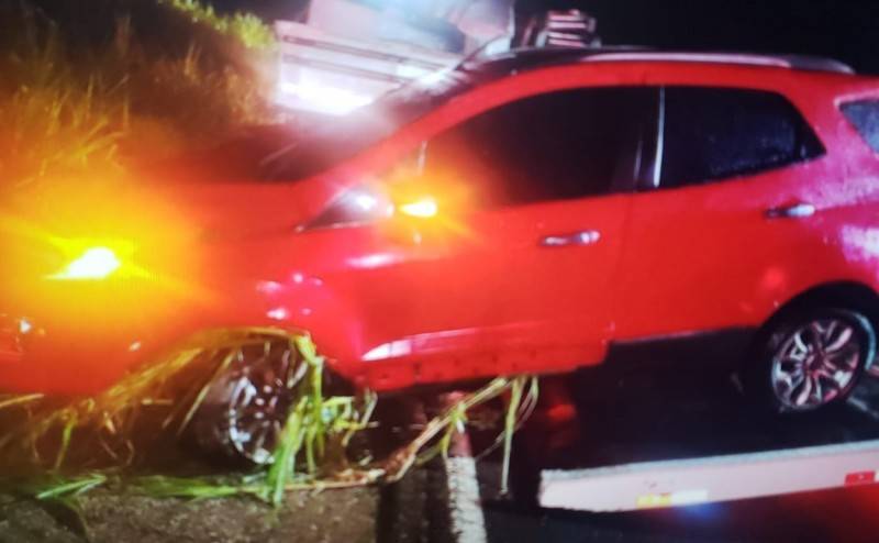 Gravatal: vaca invade rodovia e provoca acidente envolvendo dois carros na SC-370 — foto 1