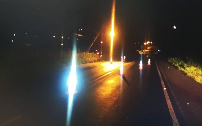 Gravatal: vaca invade rodovia e provoca acidente envolvendo dois carros na SC-370 — foto 2