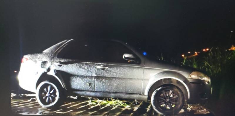 Gravatal: vaca invade rodovia e provoca acidente envolvendo dois carros na SC-370 — foto 3