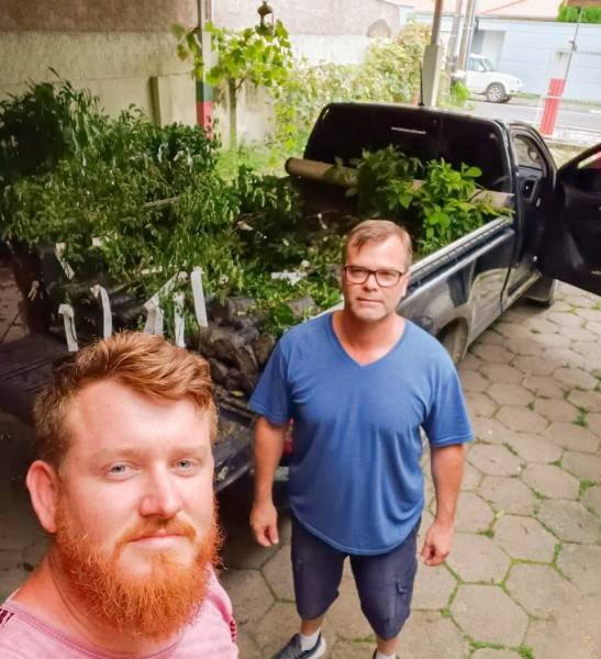 Comitê Tubarão e Complexo Lagunar distribui 1,5 mil mudas de árvores — foto 2