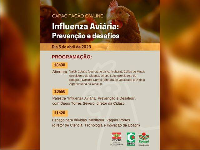 Capacitação on-line gratuita da Epagri vai tratar sobre prevenção e desafios da influenza aviária — foto 1
