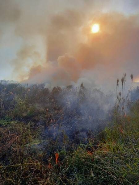 Bombeiros combatem incêndio de grandes proporções em Criciúma — foto 1
