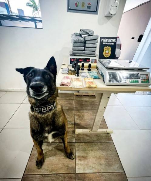 Motorista de 28 anos é preso com 10 quilos de cocaína — foto 1