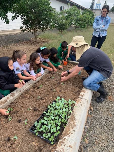 Escola de Maracajá utiliza horta escolar como ferramenta pedagógica — foto 1