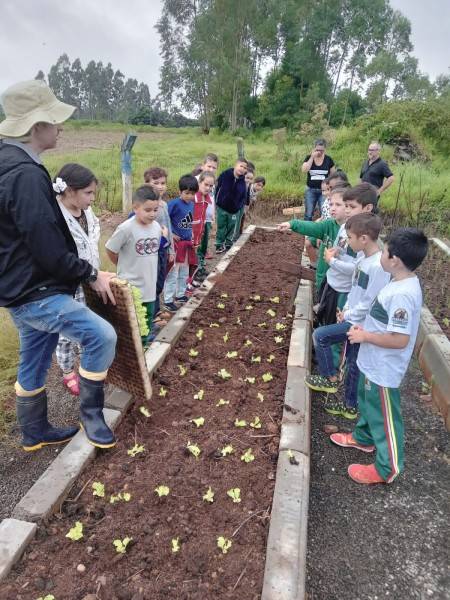 Escola de Maracajá utiliza horta escolar como ferramenta pedagógica — foto 3