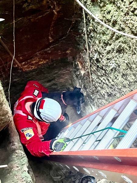 Cachorro desaparecido é resgatado em buraco por bombeiros — foto 2