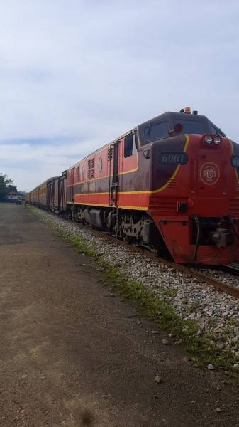 Passeio de Trem conta com a participação de 253 pessoas em Criciúma — foto 2