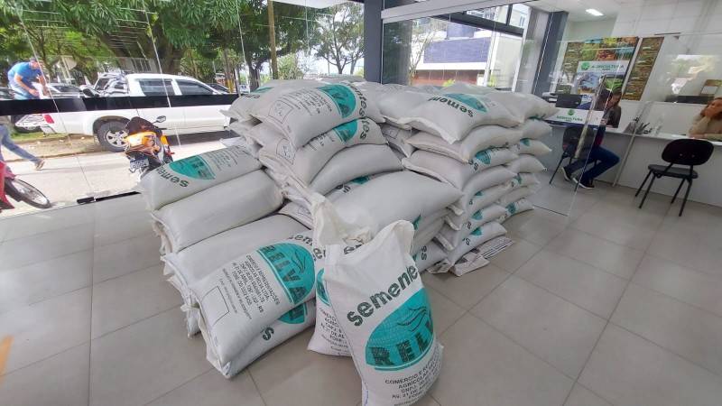 Governo de Içara entrega quase seis toneladas de sementes de aveia e azevém a agricultores — foto 1