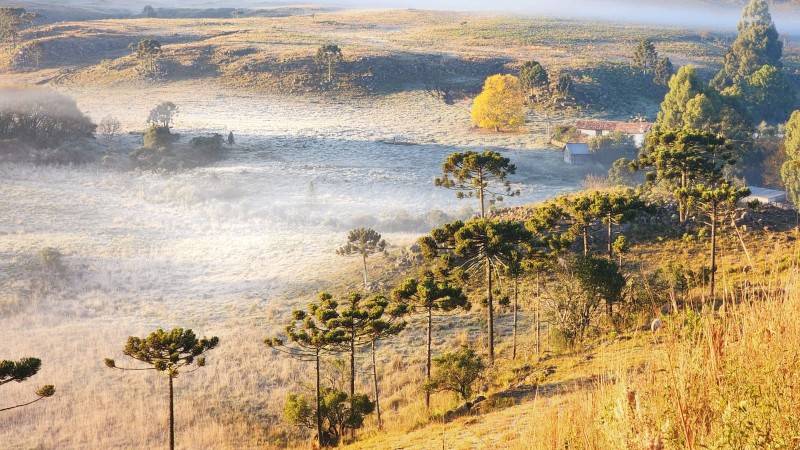 Paisagem amanhece branca da geada na Serra Catarinense — foto 2
