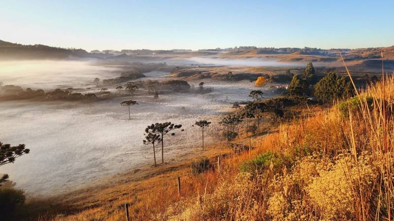 Paisagem amanhece branca da geada na Serra Catarinense — foto 5
