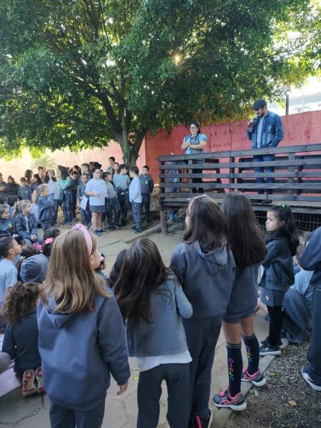 Projeto Abelha sem Ferrão da Escola S celebra o Dia da Abelha — foto 1