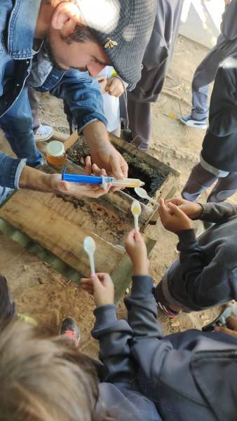 Projeto Abelha sem Ferrão da Escola S celebra o Dia da Abelha — foto 2
