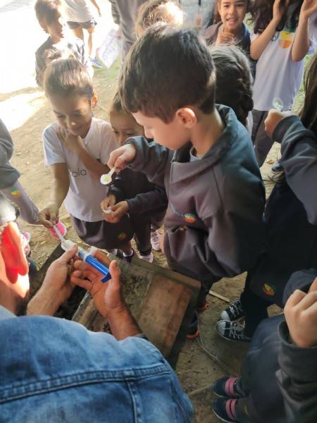 Projeto Abelha sem Ferrão da Escola S celebra o Dia da Abelha — foto 3