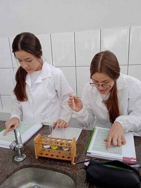 Aula prática traz novos conhecimentos aos estudantes do Colégio Universitário — foto 1