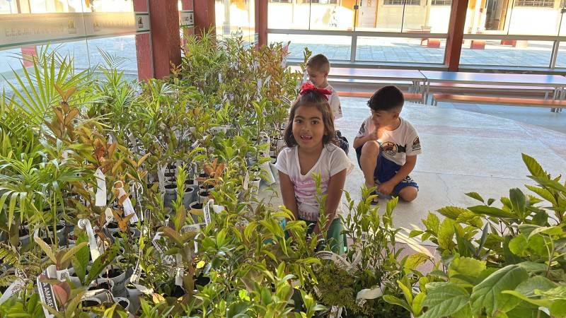 Departamento de Educação de Maracajá promove programação especial para a Semana do Meio Ambiente — foto 1
