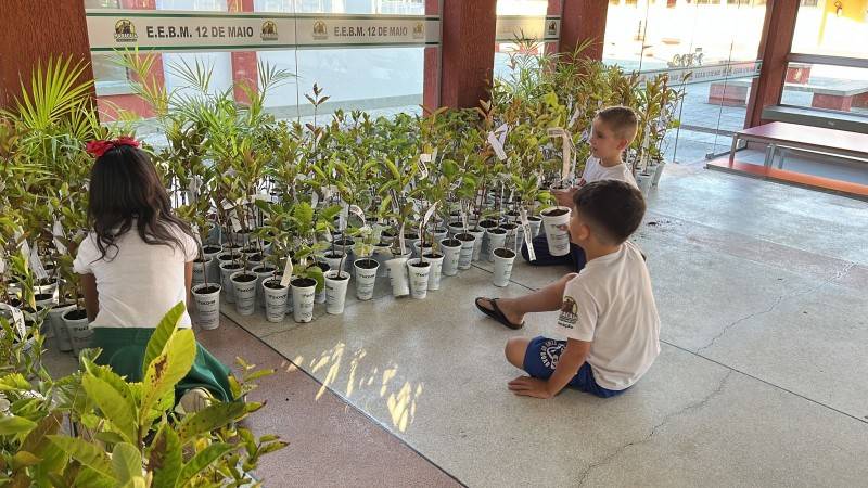 Departamento de Educação de Maracajá promove programação especial para a Semana do Meio Ambiente — foto 2