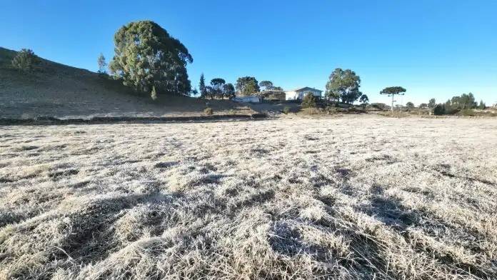 Frio intenso: Serra catarinense registra temperaturas negativas e boneco de gelo reaparece — foto 1