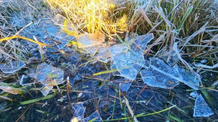Frio intenso: Serra catarinense registra temperaturas negativas e boneco de gelo reaparece — foto 5