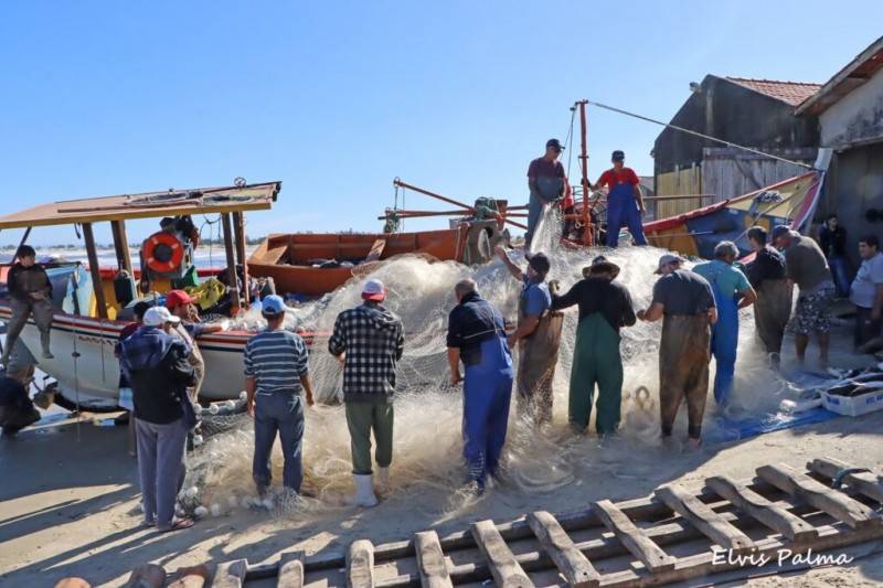 Pescadores comemoram captura de tainhas no Farol de Santa Marta — foto 2