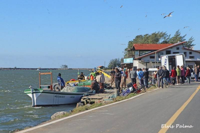Pescadores comemoram captura de tainhas no Farol de Santa Marta — foto 5