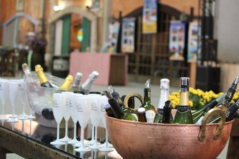Diversão e solidariedade: festa do Vinho terá passaporte solidário por R$ 100 — foto 2
