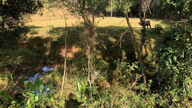 Comitê Urussanga inicia projeto para revitalização da microbacia do Rio Maior — foto 1
