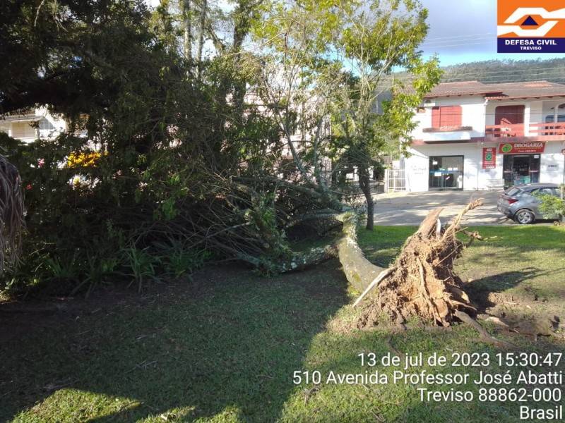 Ventos provocam quedas de árvores e destelhamento de casas em Treviso — foto 2