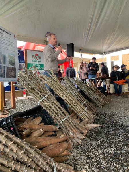 Feira da Mandioca reúne cerca de 500 pessoas para a troca de conhecimentos e experiências — foto 1