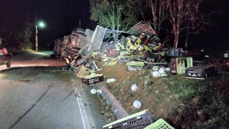 Caminhão carregado com frangos fica sem freio e tomba em Siderópolis — foto 1