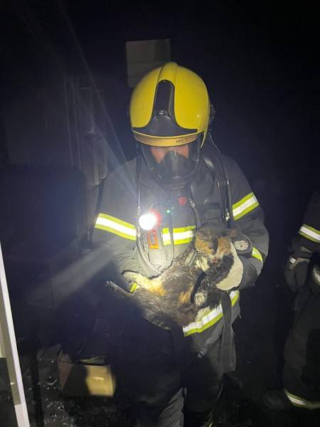 Bombeiros combatem incêndio na Casa Guido em Criciúma — foto 8