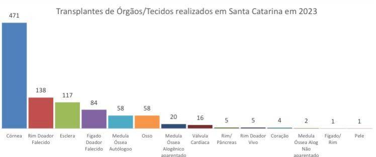 Entenda como funciona a fila de transplantes de órgãos — foto 1