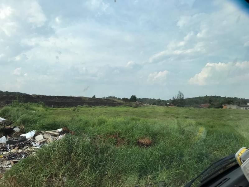 Corpo de Bombeiros combatem dois incêndios em vegetações em Criciúma — foto 1