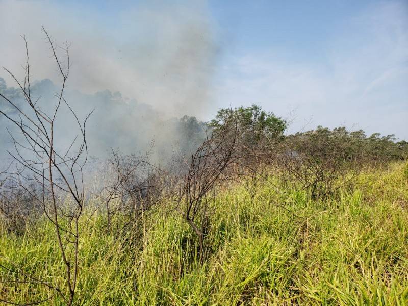 Corpo de Bombeiros combatem dois incêndios em vegetações em Criciúma — foto 4