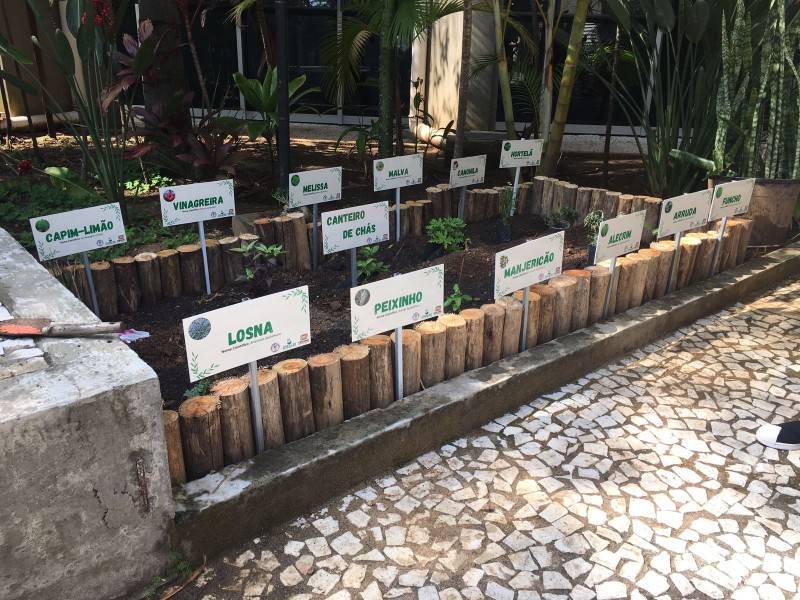 Diretoria de Meio Ambiente de Criciúma promove ação 'Chás no Paço' — foto 1