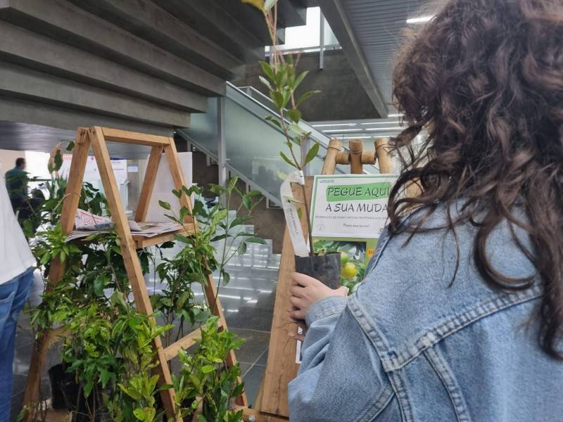 Diretoria de Meio Ambiente de Criciúma promove ação 'Chás no Paço' — foto 2