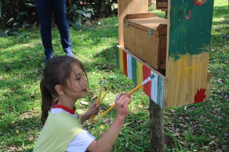 Horto Florestal de Criciúma ganha meliponário e trilha ecológica — foto 1