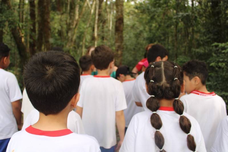 Horto Florestal de Criciúma ganha meliponário e trilha ecológica — foto 4