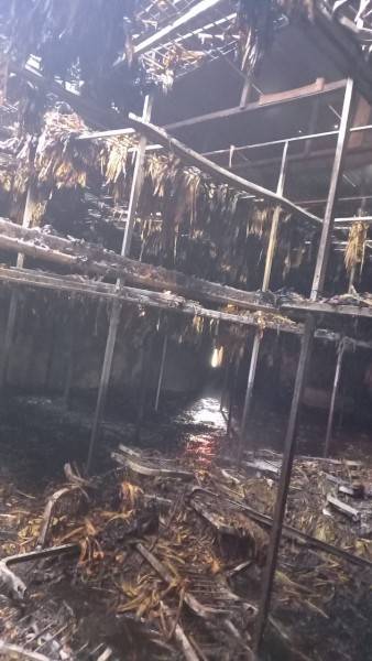 Incêndio destrói estufa de fumo em Morro da Fumaça — foto 9